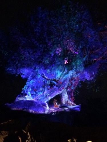 106661523019471176-med