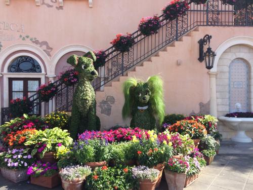 107241523119555718-med