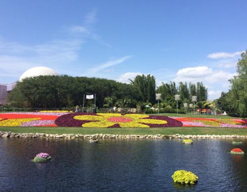 107251523119581685-med