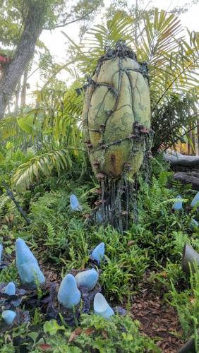 IMG 20180404 074844-med